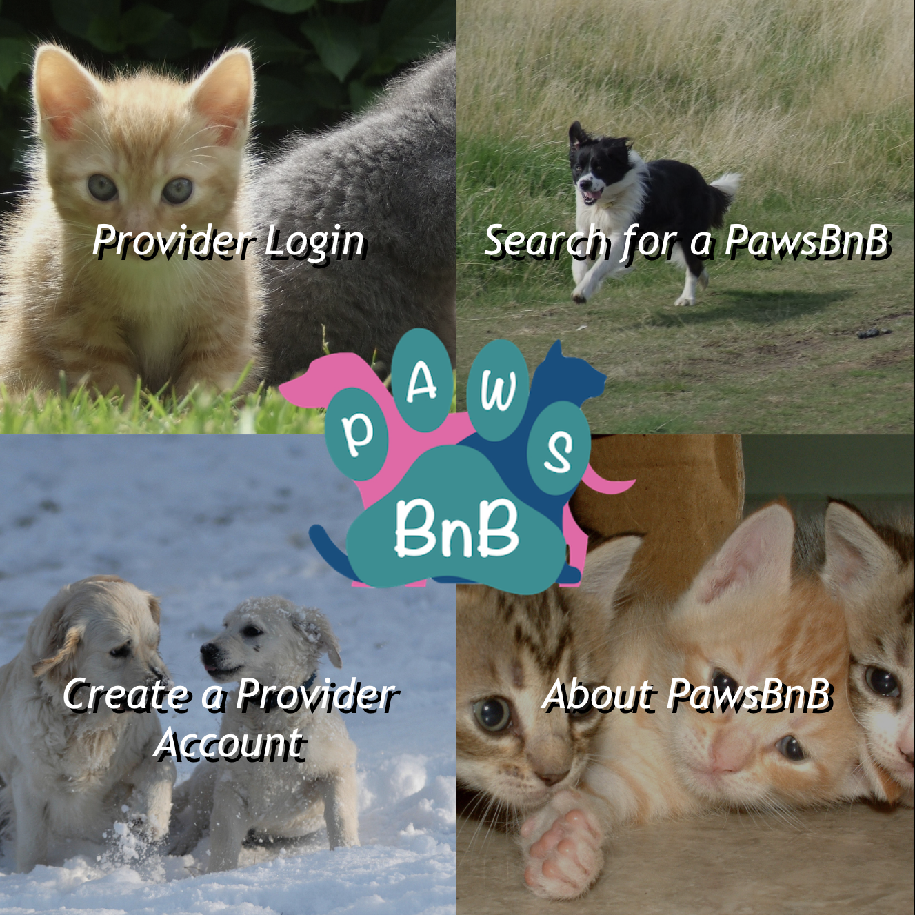 image of the home page for the pawsbnb application